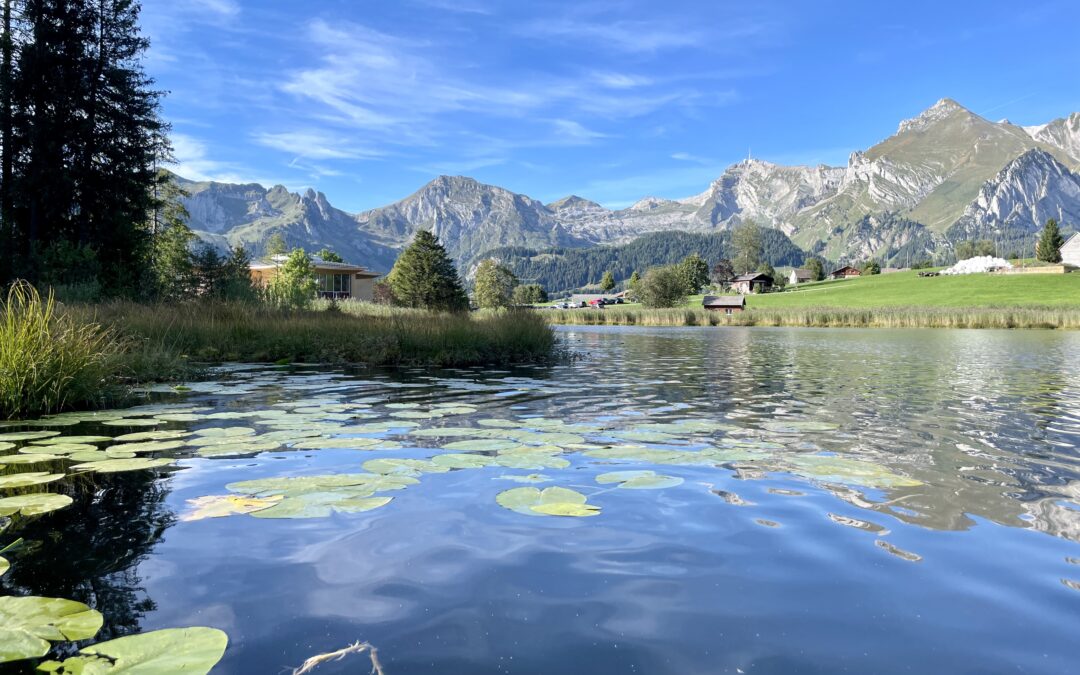 Eröffnung Klanghaus